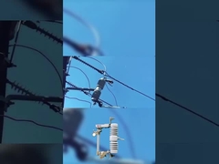 고품질 피지 컷 40.5kV 폴리머 또는 세라믹 드롭 아웃 피지 컷